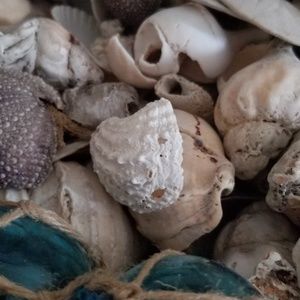 Meet your Posher, Tanya